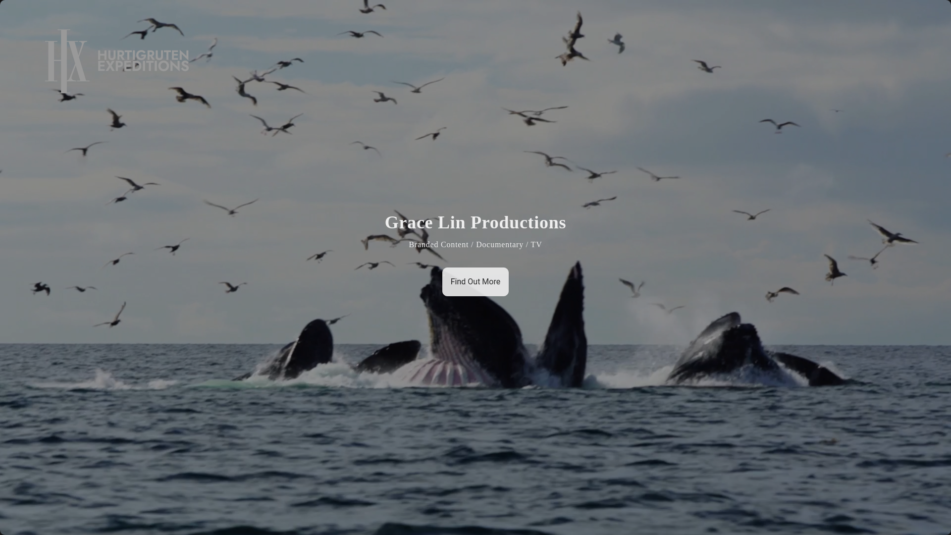 website screenshot of https://gracelinproductions.pages.dev/