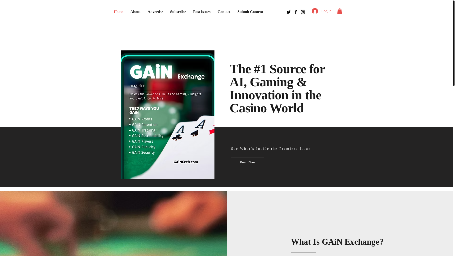 website screenshot of https://gainexch.com/