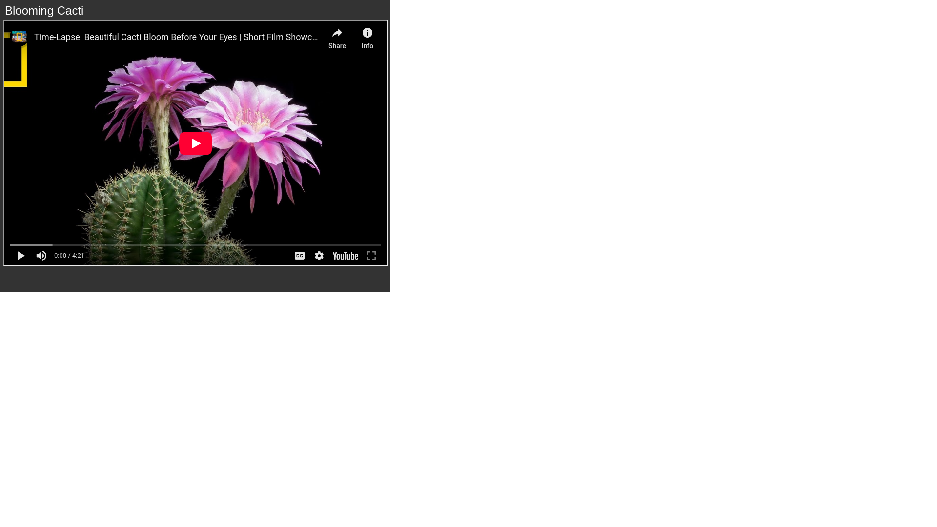 website screenshot of https://dfeb2534-d800-20aa-d03f-bae9b3794e6b-qa.pages.dev/