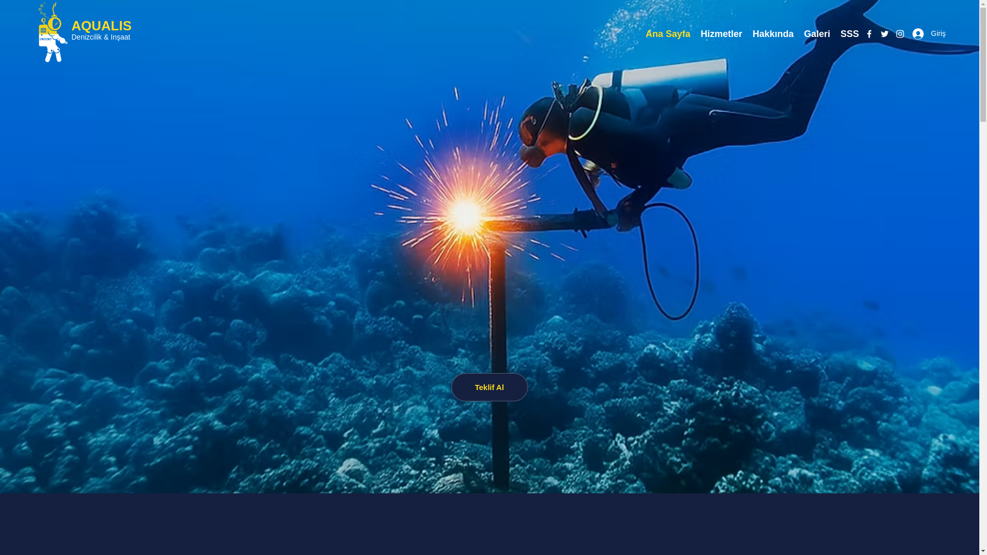 website screenshot of https://aqualisdenizcilikinsaat.com/
