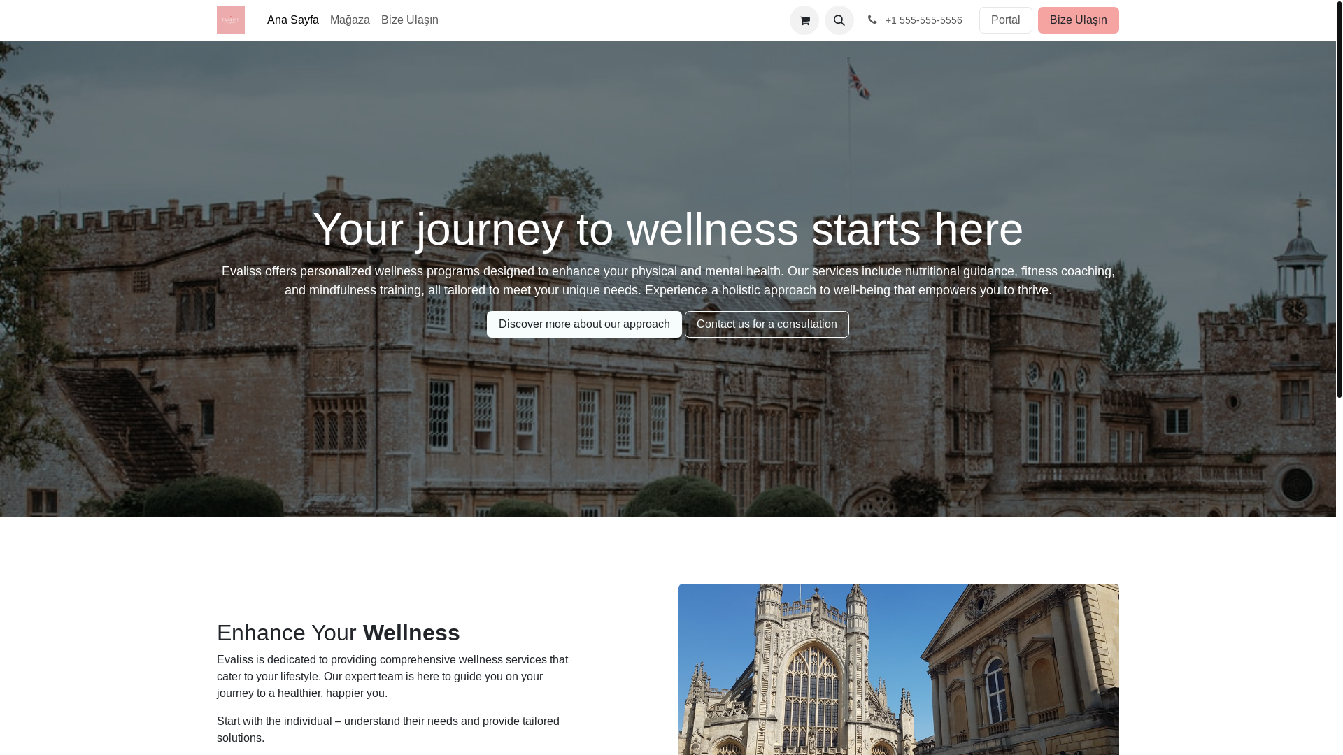 website screenshot of https://evaliss.tr/