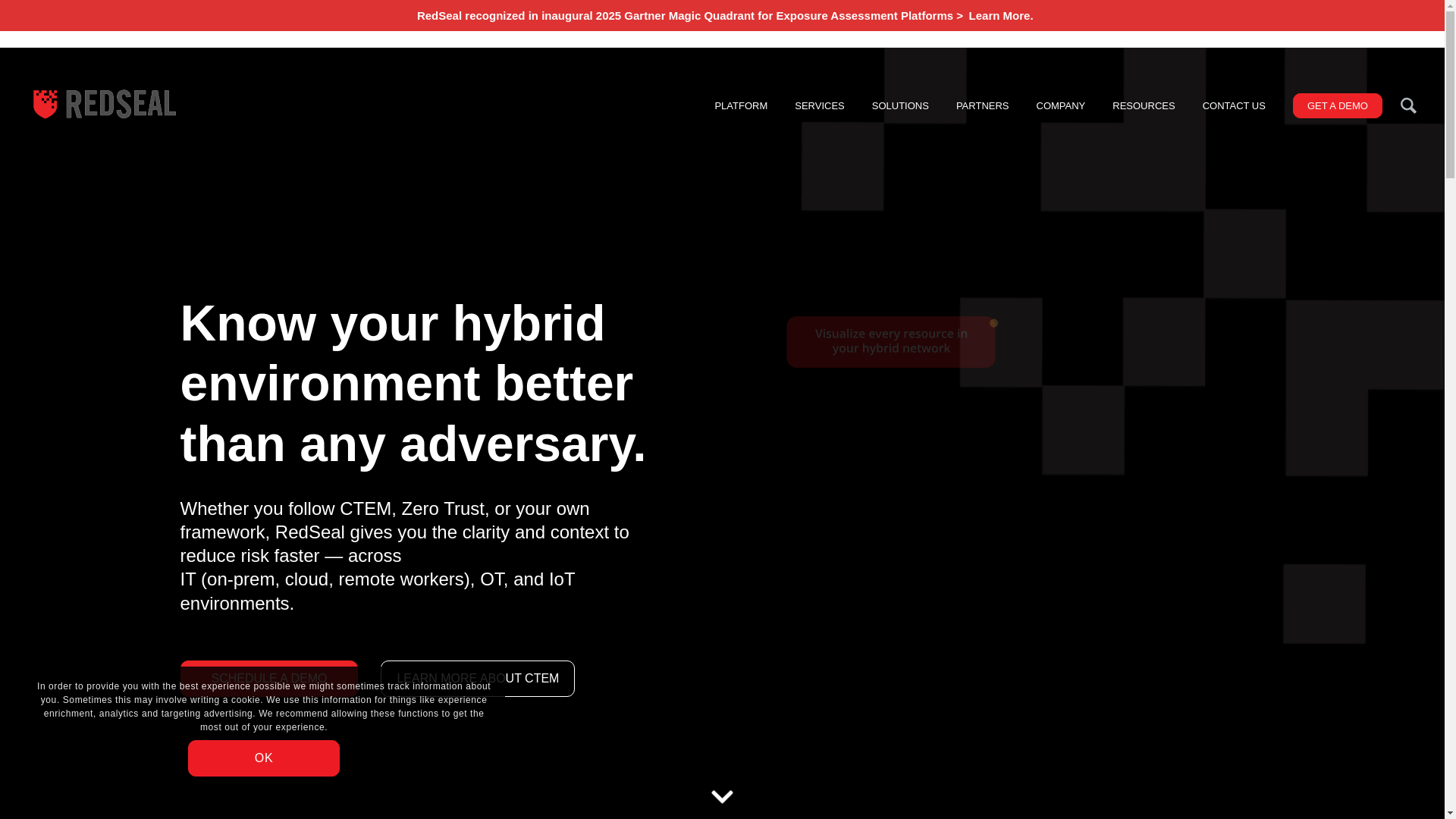 website screenshot of https://redseal.net/