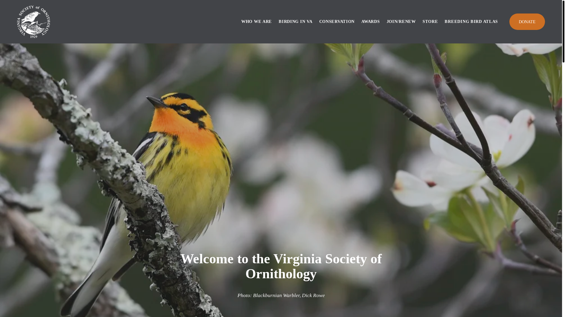 website screenshot of https://vabirdatlas.org/