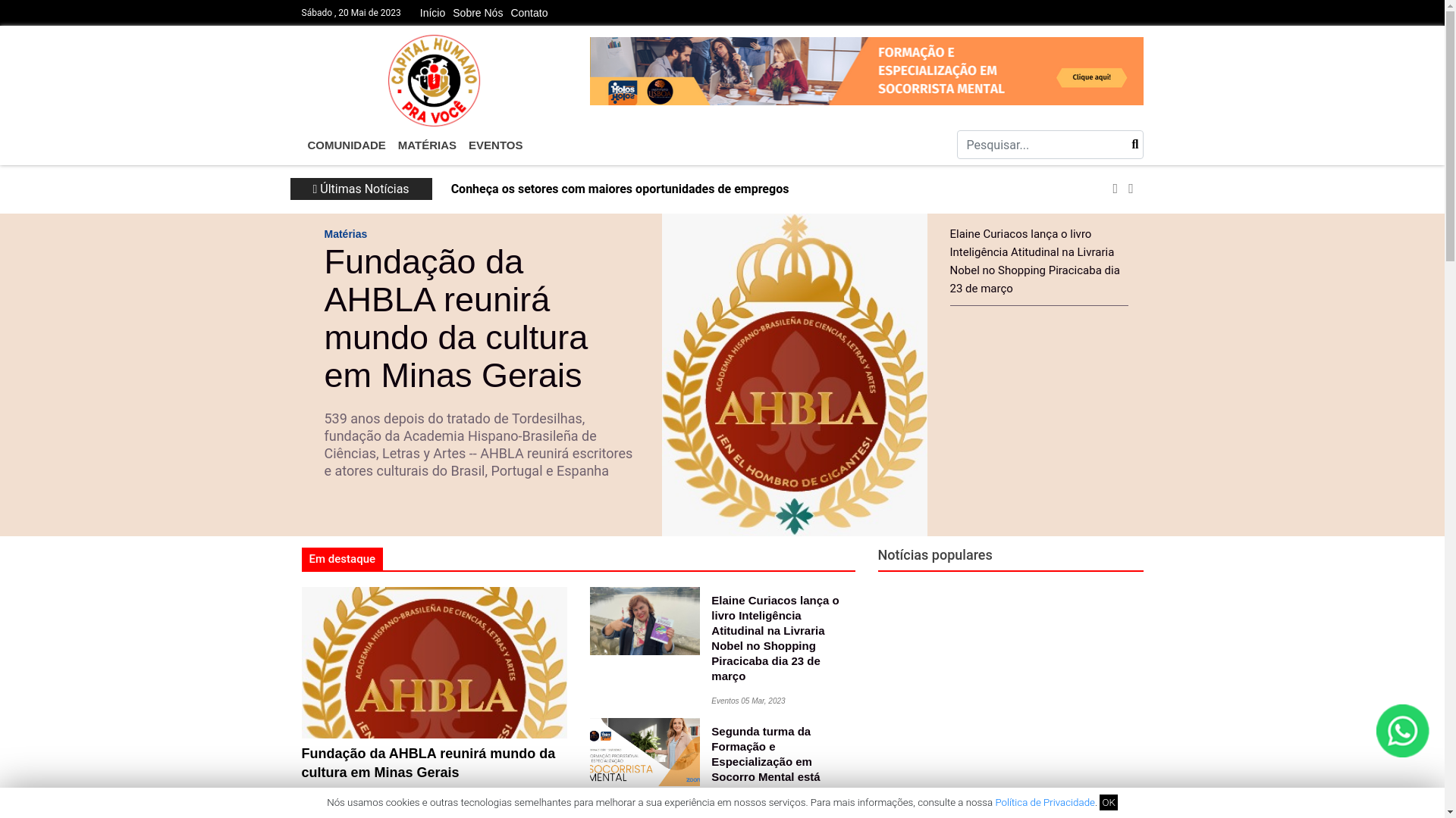 website screenshot of https://lafaietense.com.br/