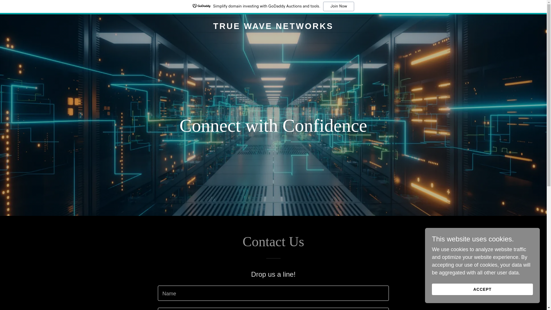 website screenshot of https://truewavenetworks.com/