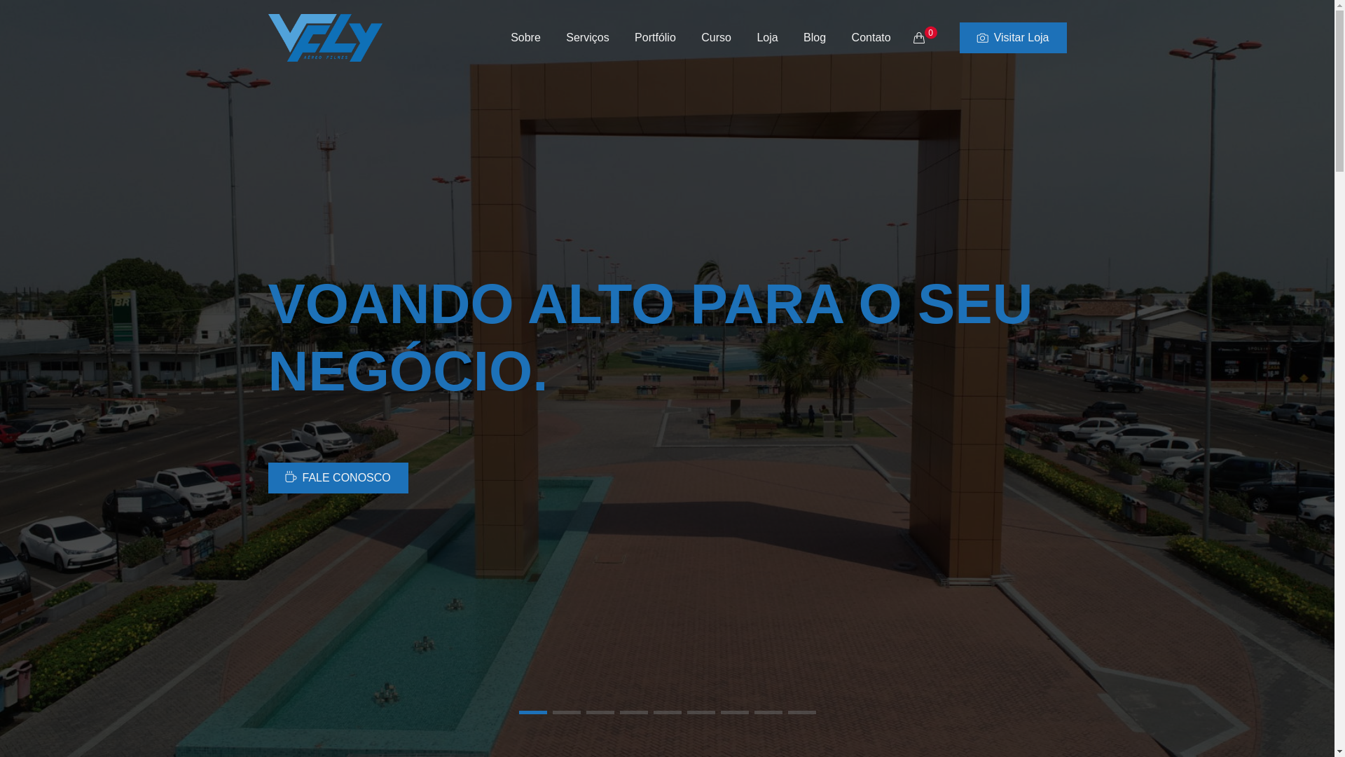 website screenshot of https://vfly.com.br/