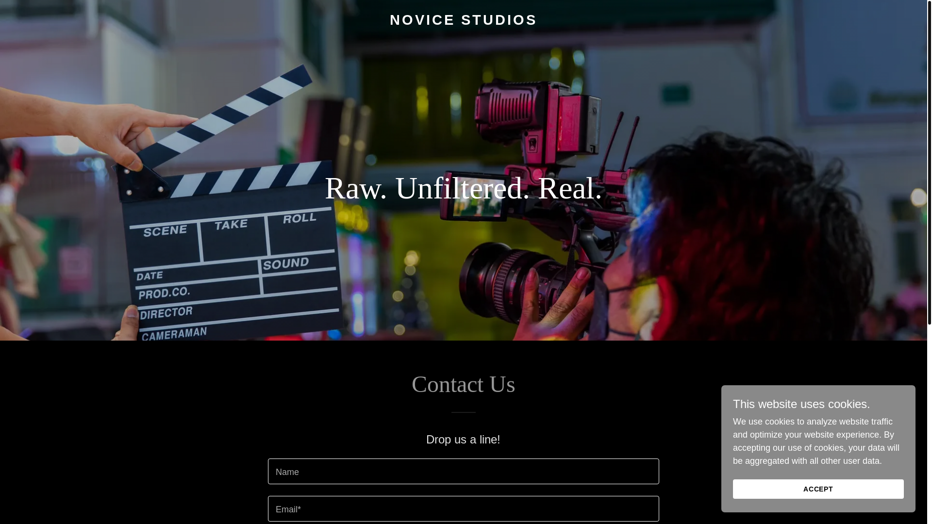 website screenshot of https://novicestudios.com.au/