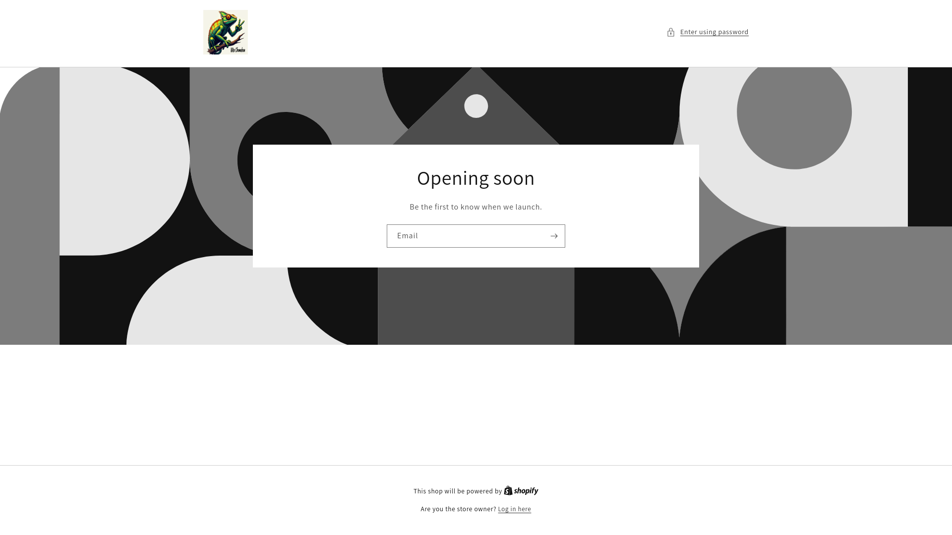 website screenshot of https://thewisechameleon.com/