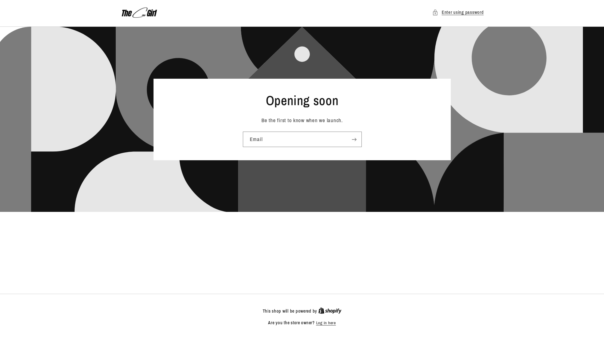 website screenshot of https://theceogirl.shop/