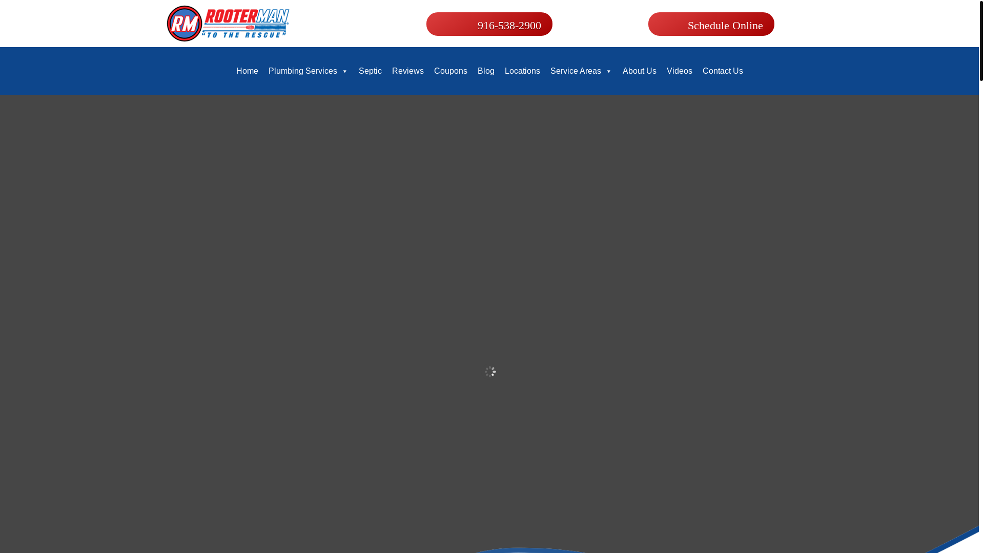 website screenshot of https://rootermanplumbing.pages.dev/