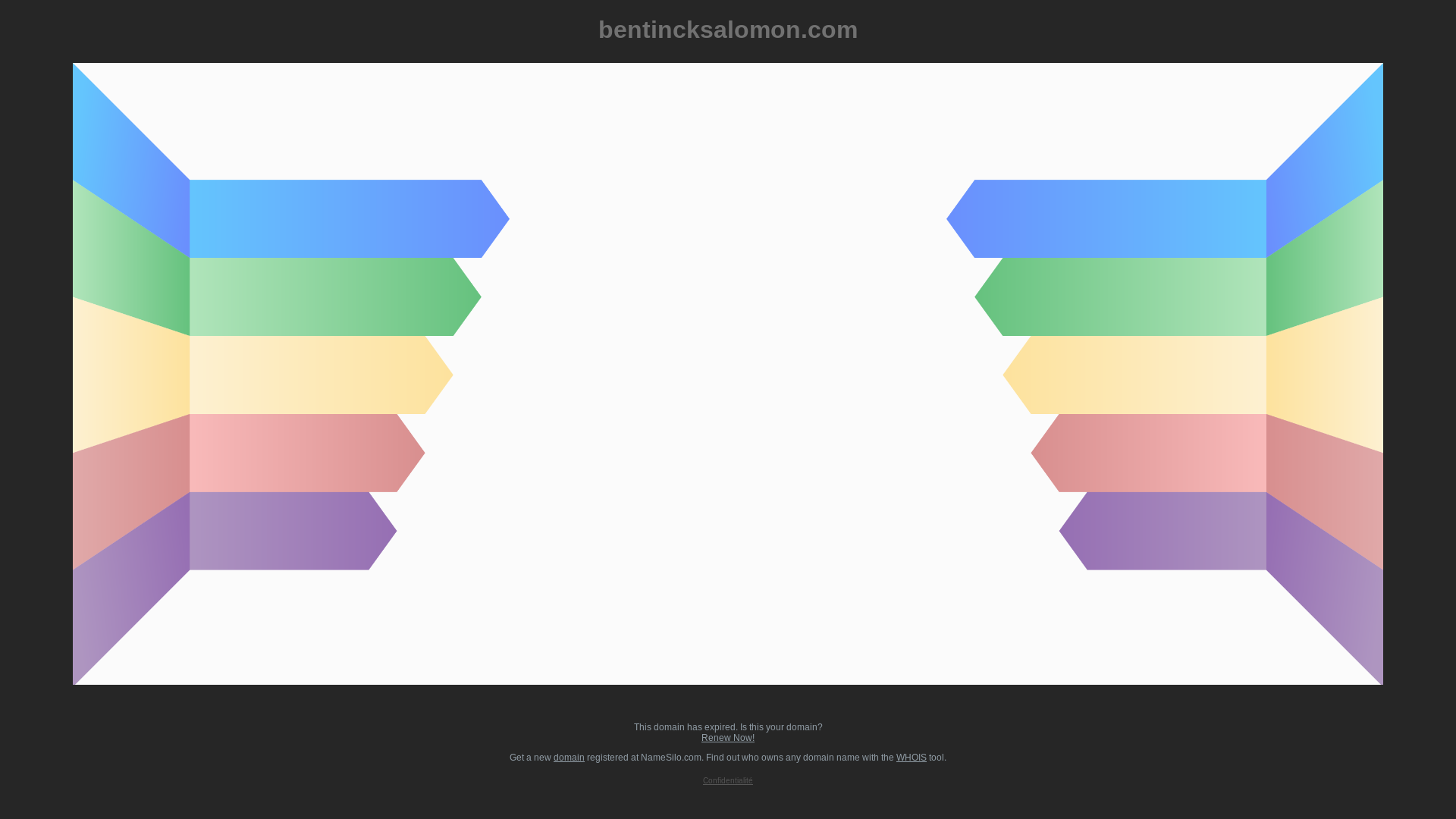 website screenshot of https://bentincksalomon.com/