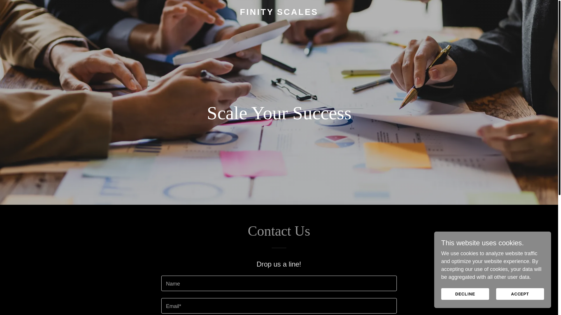 website screenshot of https://finityscales.com/