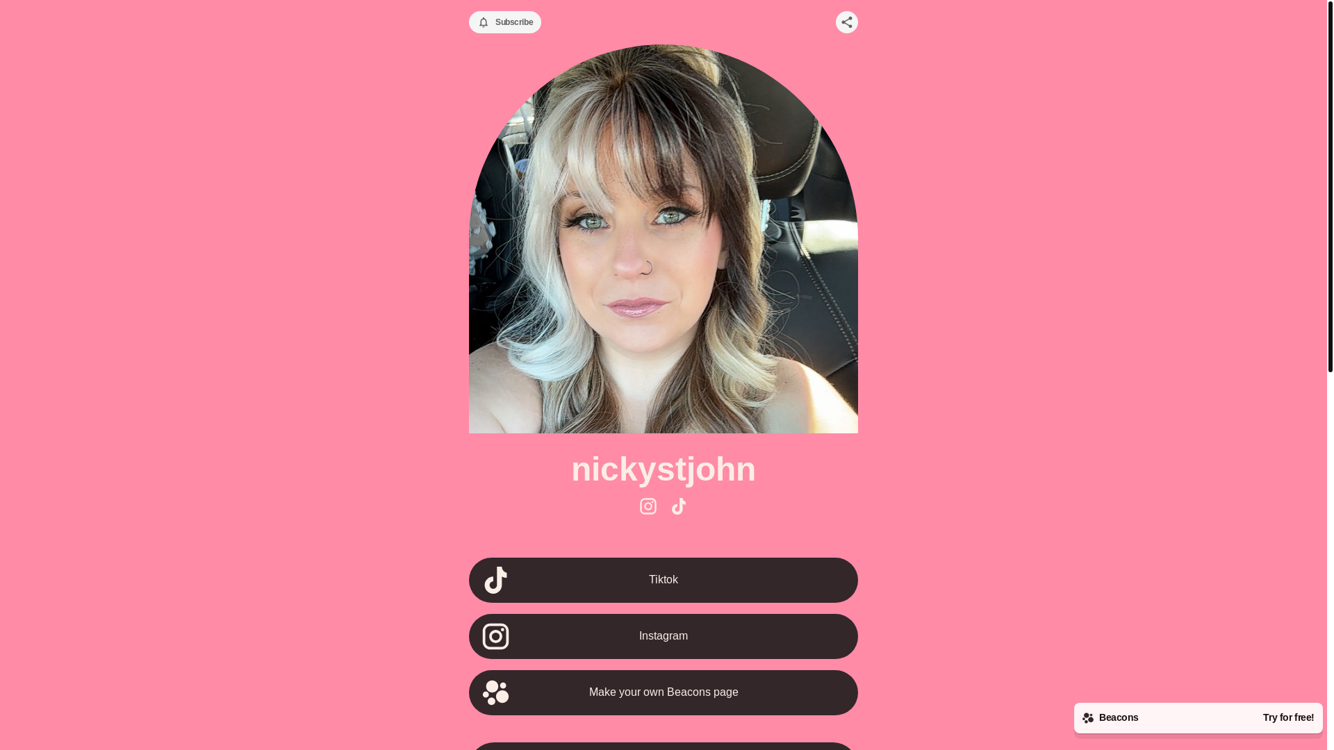 website screenshot of https://nickystjohn.com/