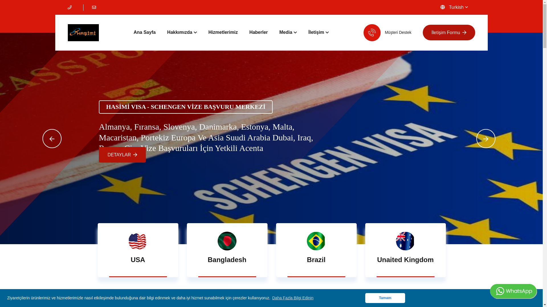 website screenshot of https://hasimiglobalvize.com/