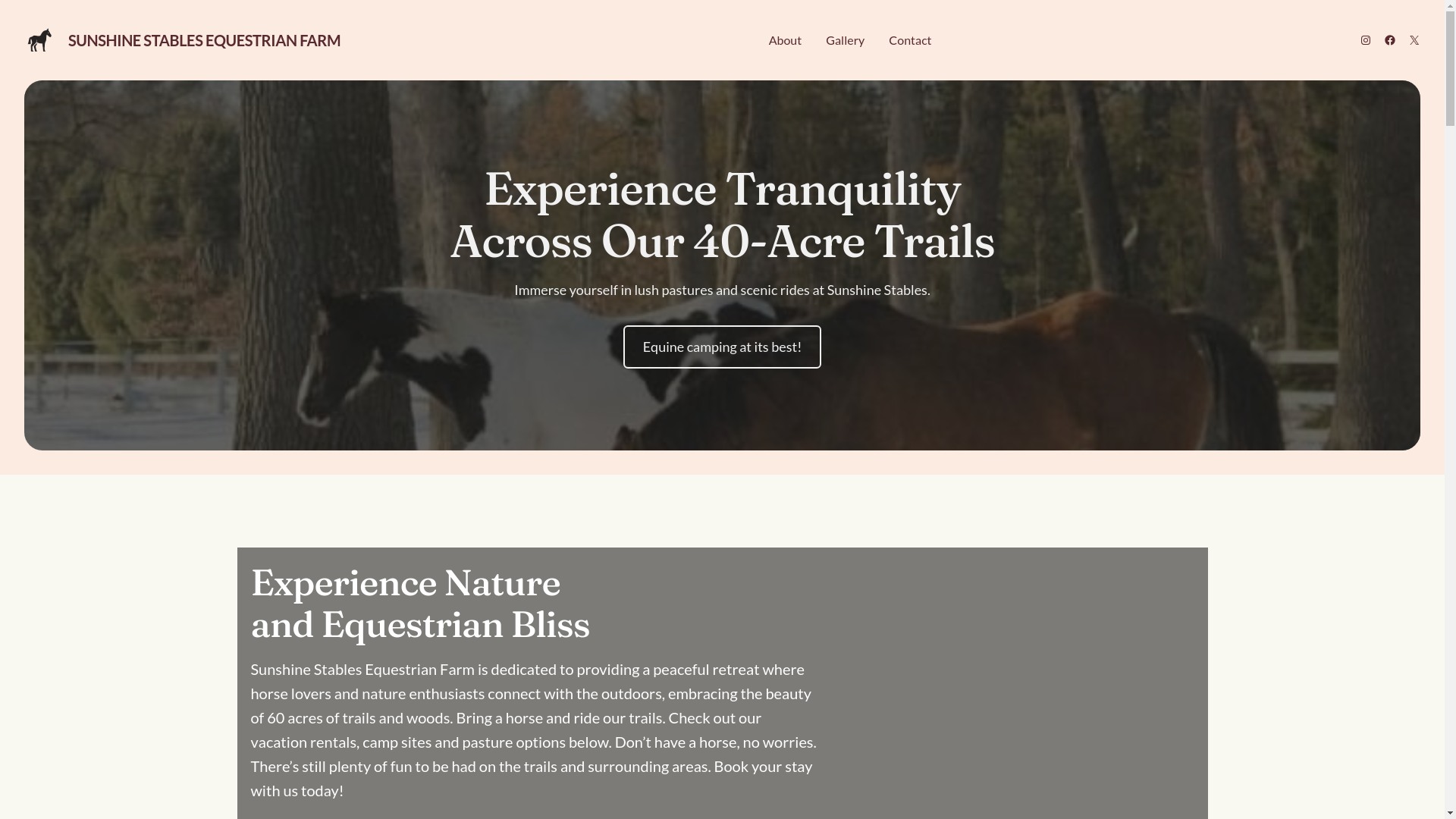 website screenshot of https://rustichorseretreat.me/