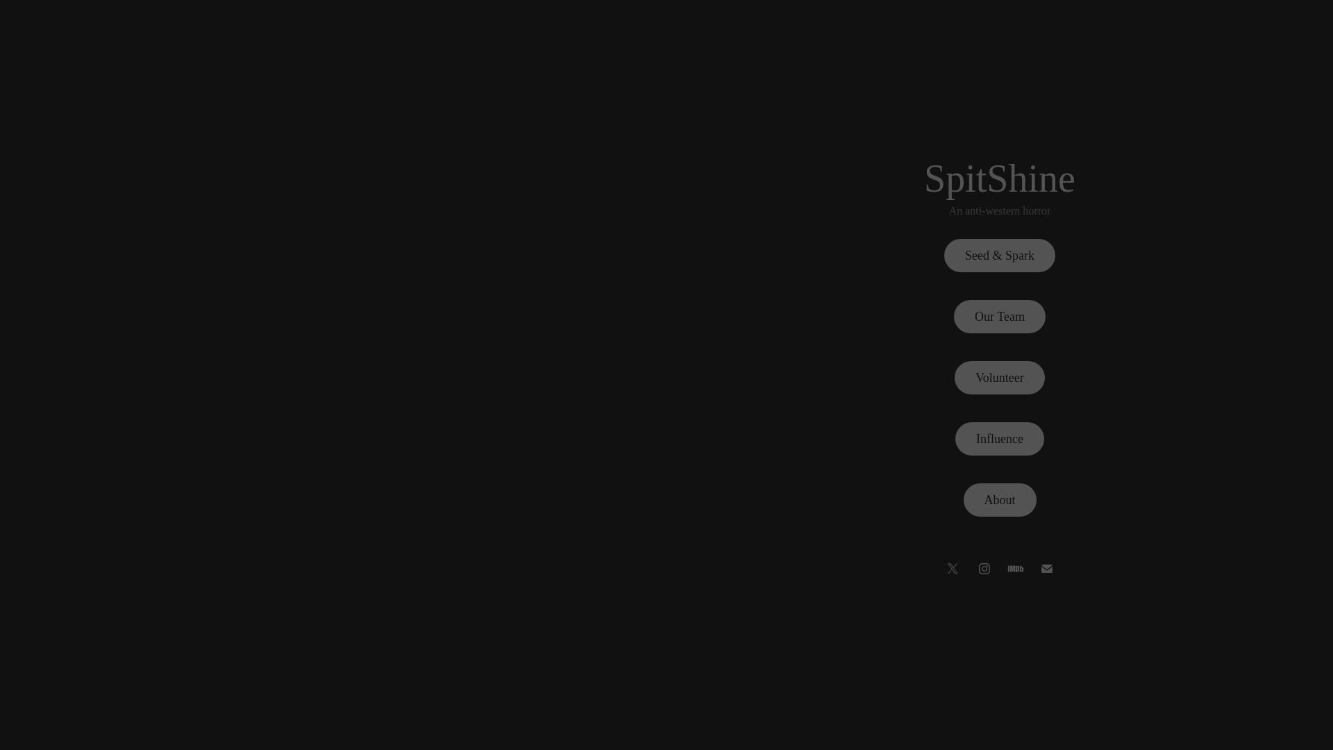 website screenshot of https://spitshinefilm.com/