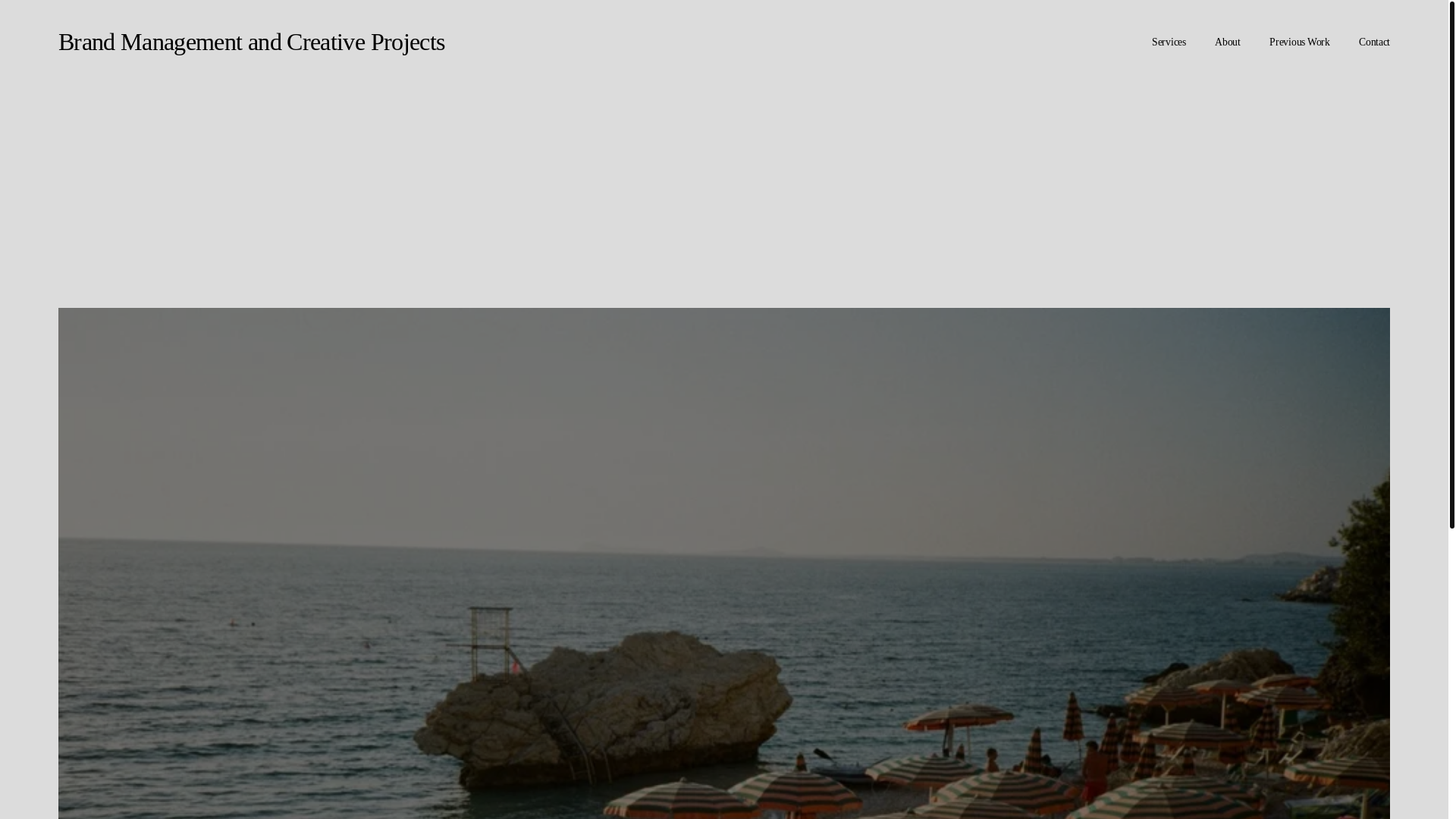 website screenshot of https://dominiquenarayan.com/