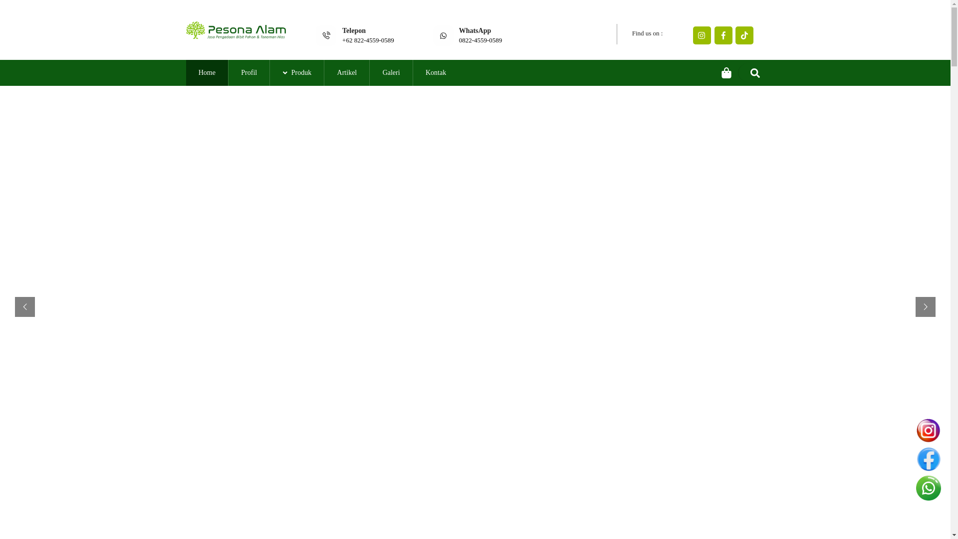 website screenshot of https://pesona-alam.com/