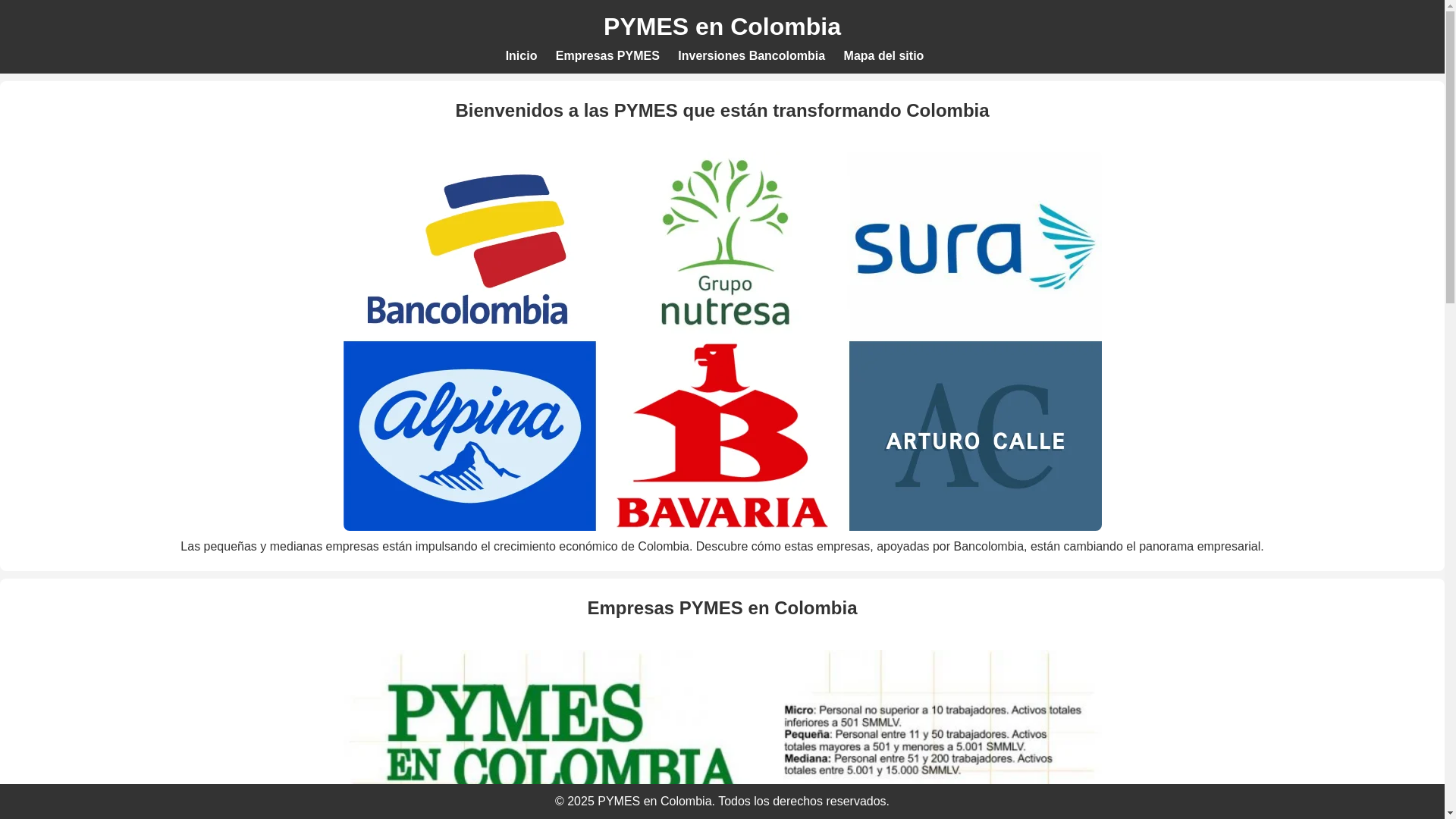 website screenshot of https://svnegociosbc.store/