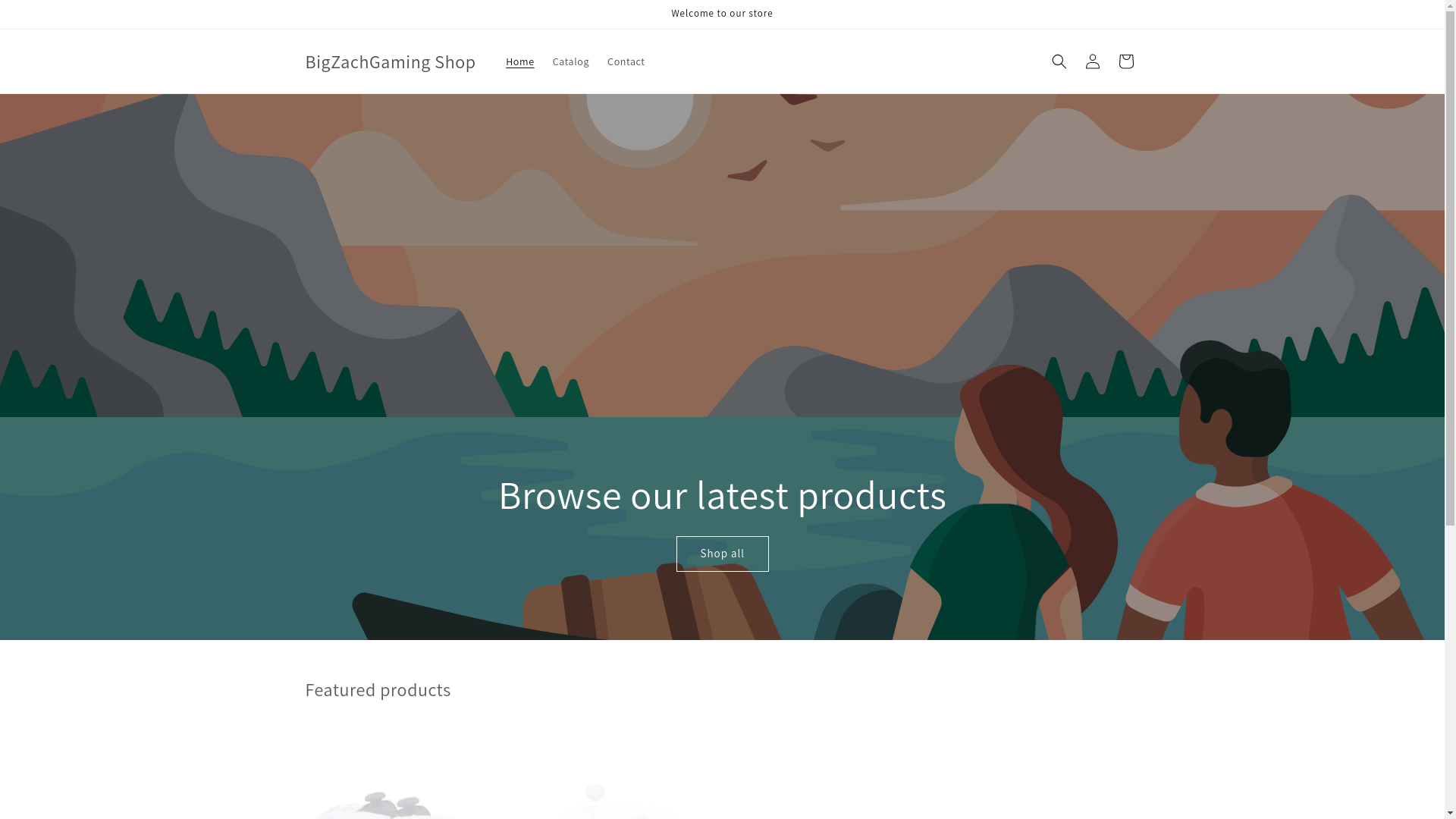 website screenshot of https://bigzachgamingshop.com/