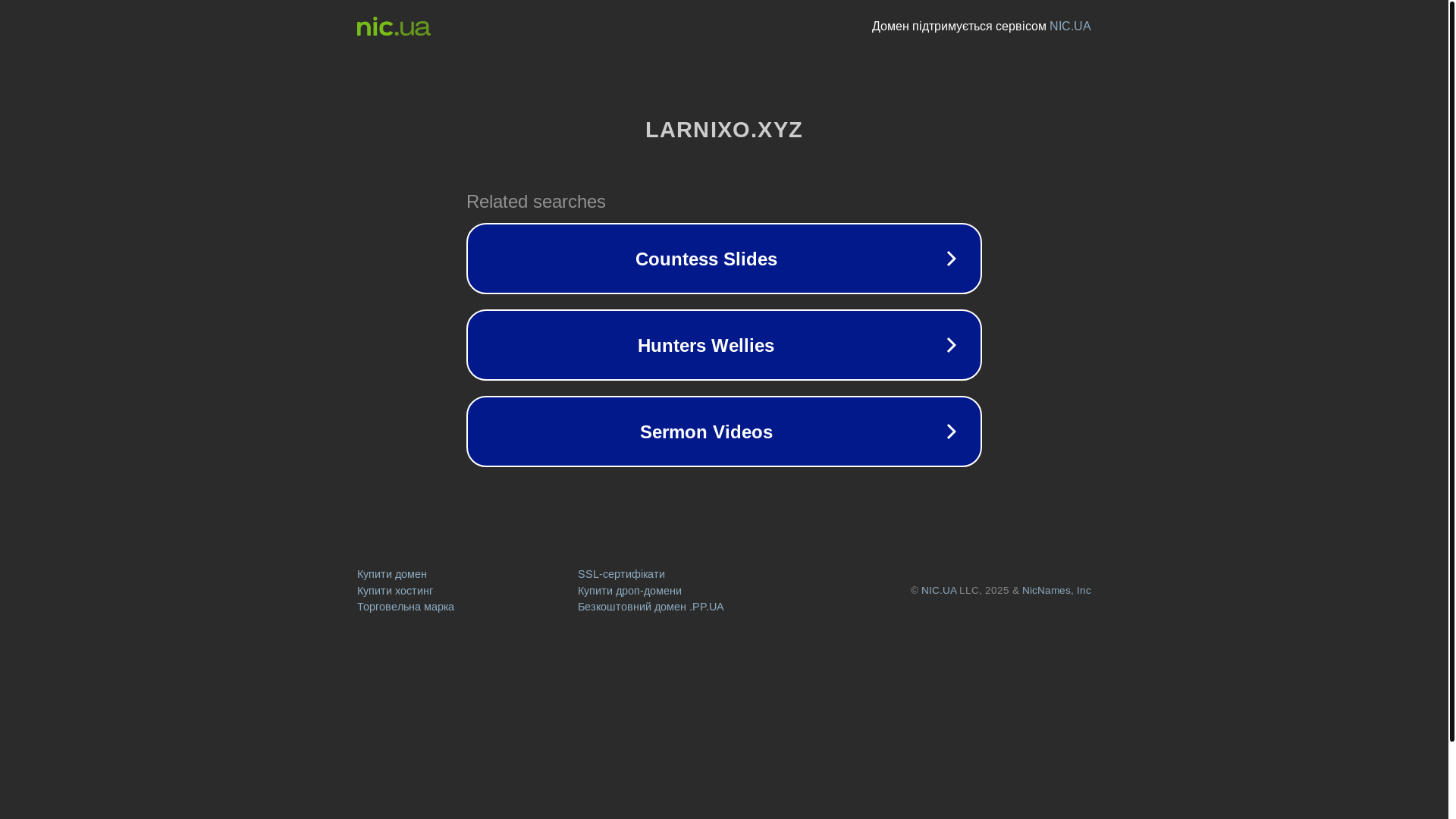 website screenshot of https://larnixo.xyz/