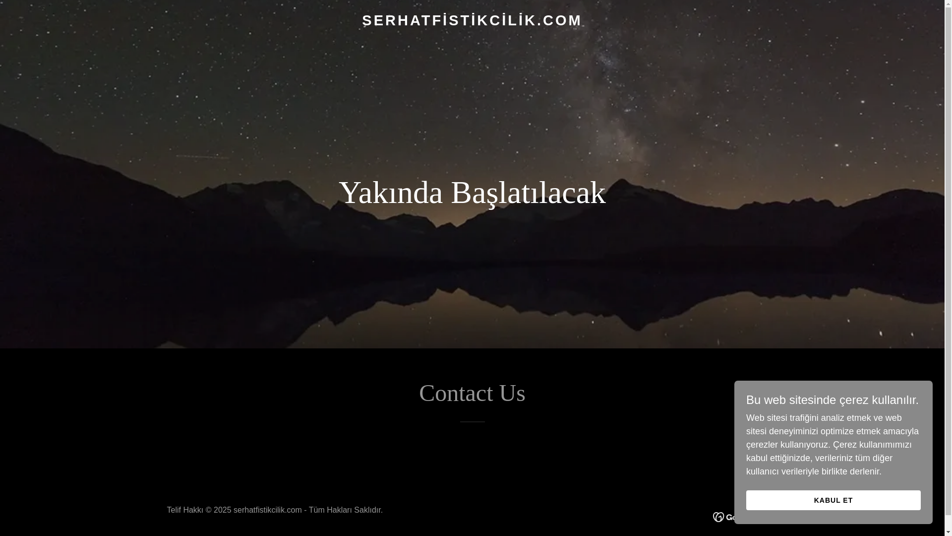 website screenshot of https://serhatfistikcilik.com/