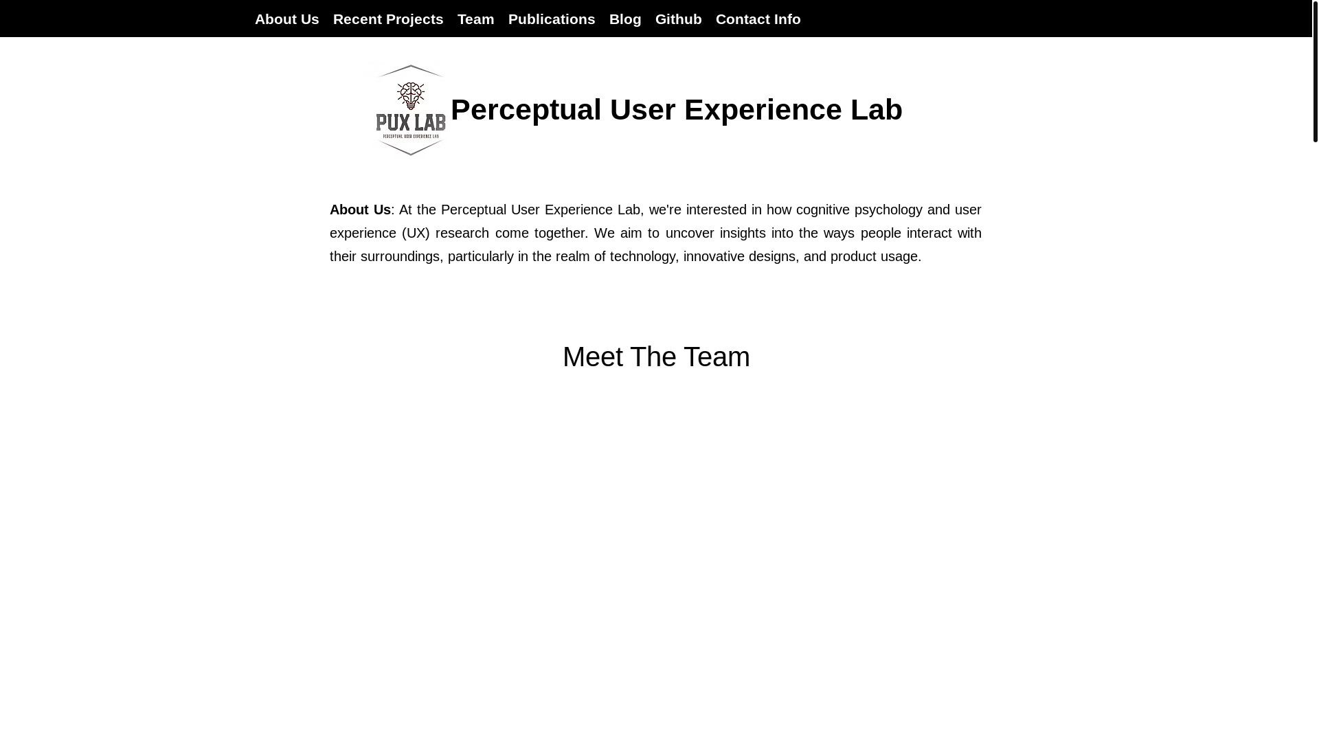 website screenshot of https://surveytuner.com/