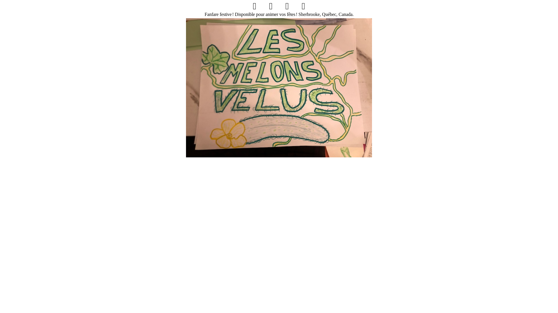 website screenshot of https://lesmelonsvelus.com/