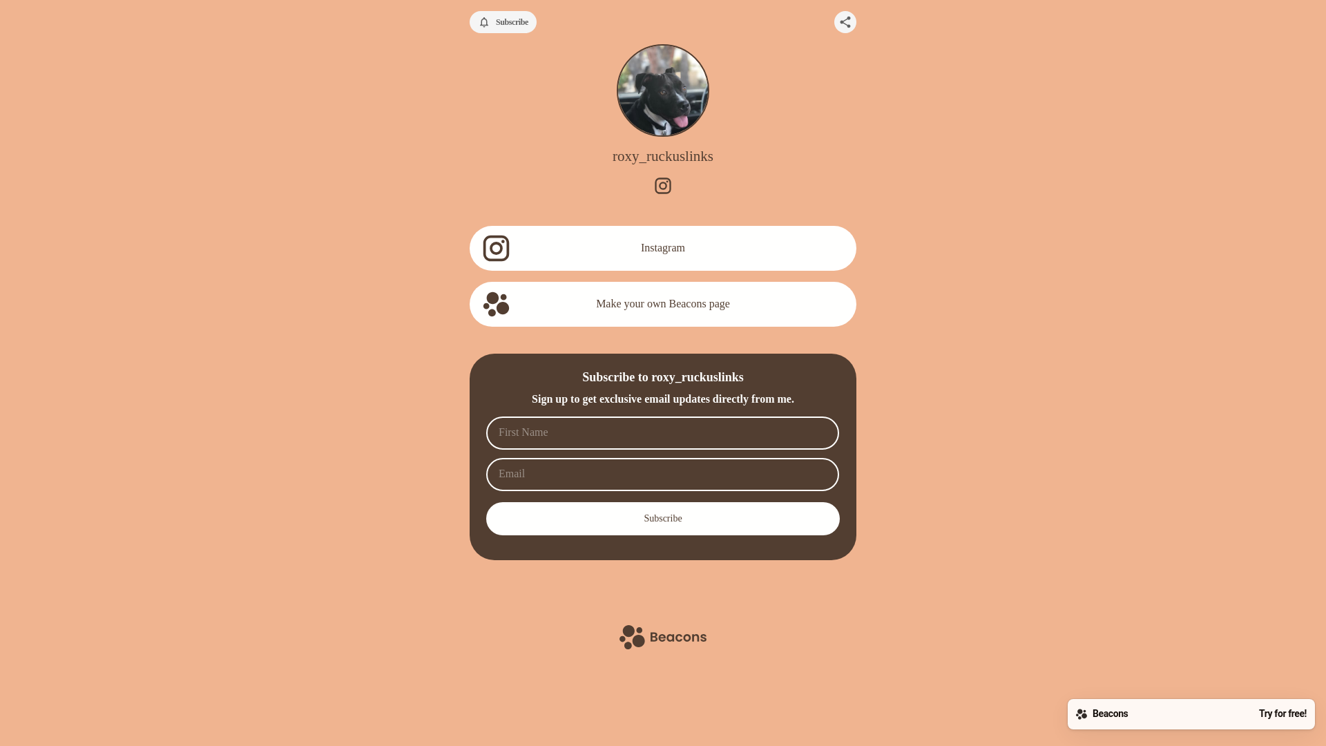 website screenshot of https://roxyruckuslinks.com/