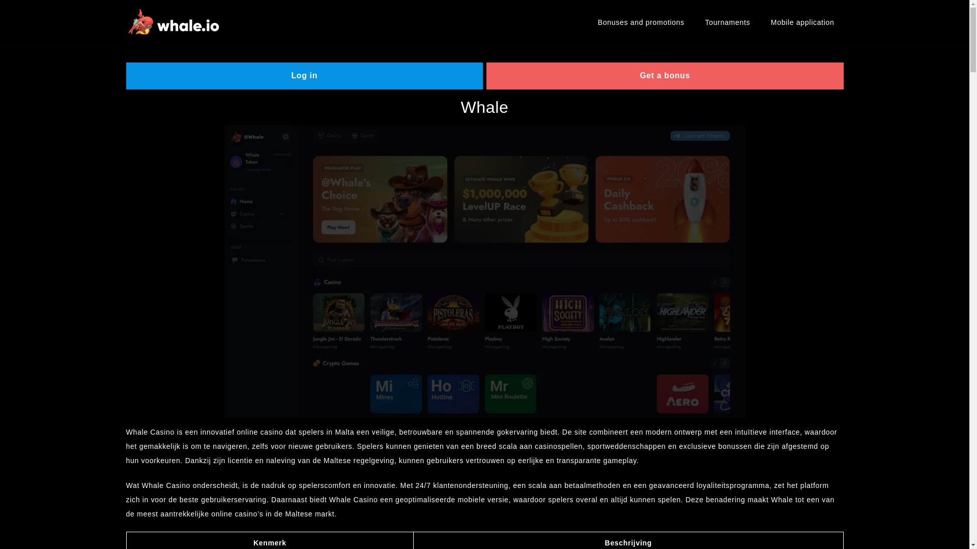 website screenshot of https://whale-mt.net/
