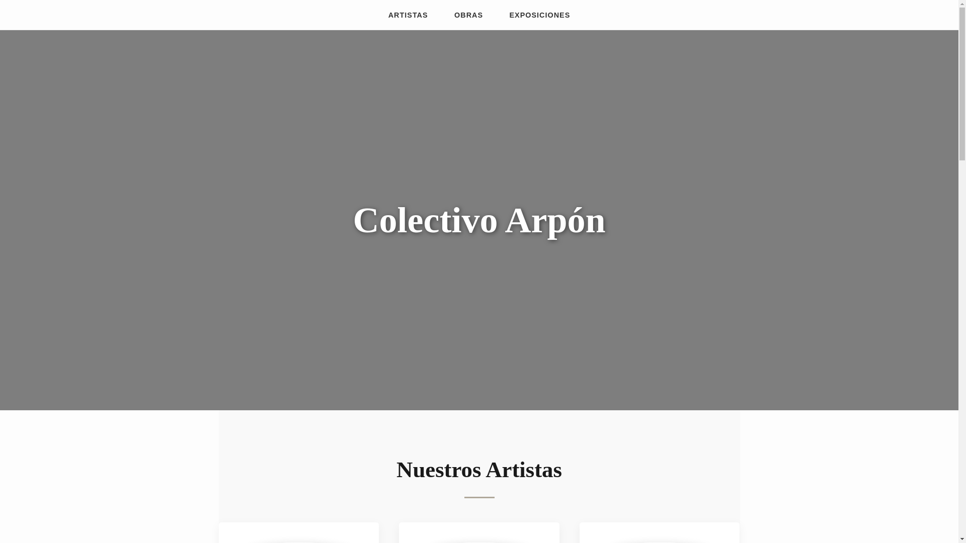 website screenshot of https://colectivoarpon.cl/