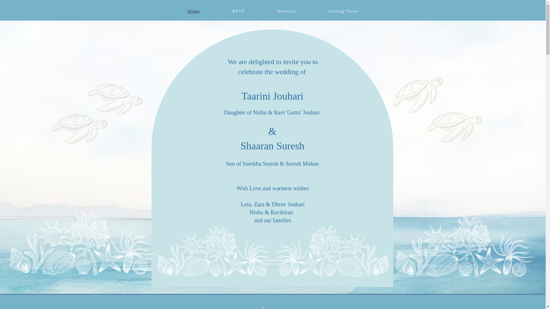 website screenshot of https://taarinishaaran.com/