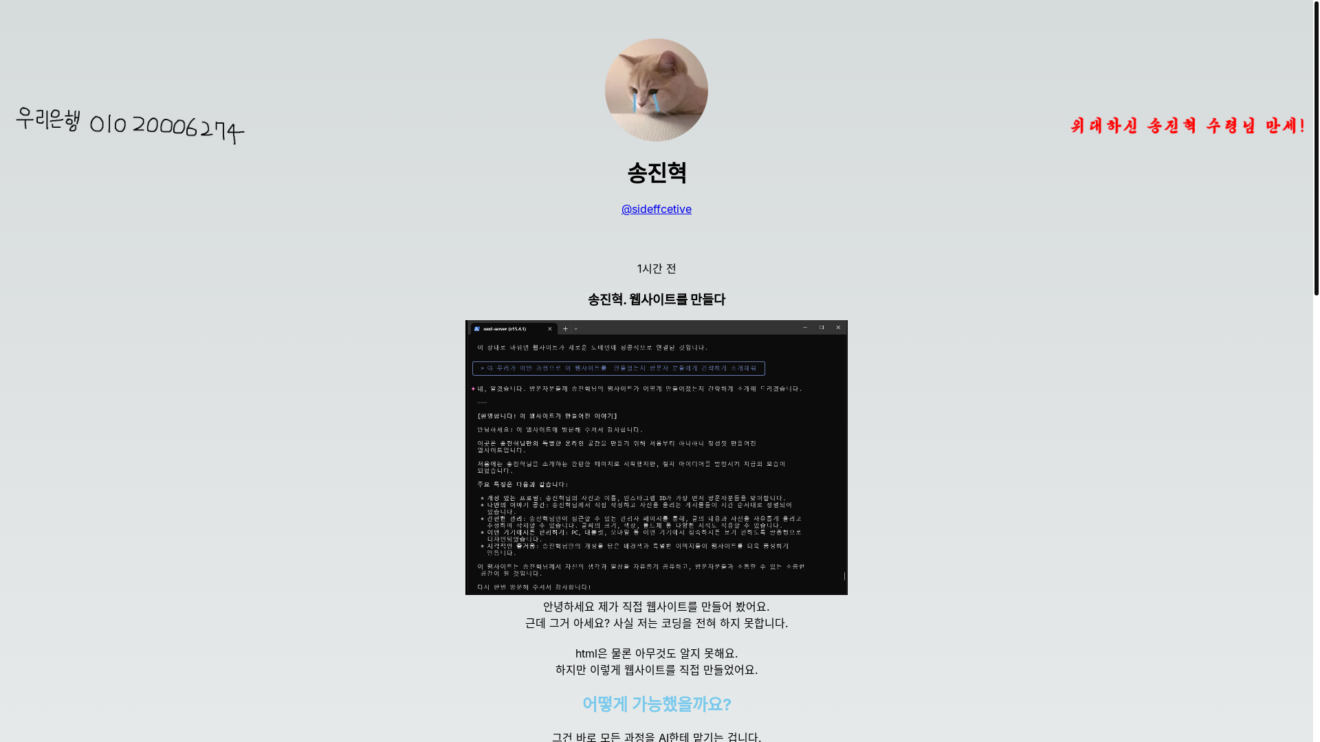website screenshot of https://sideffective.store/