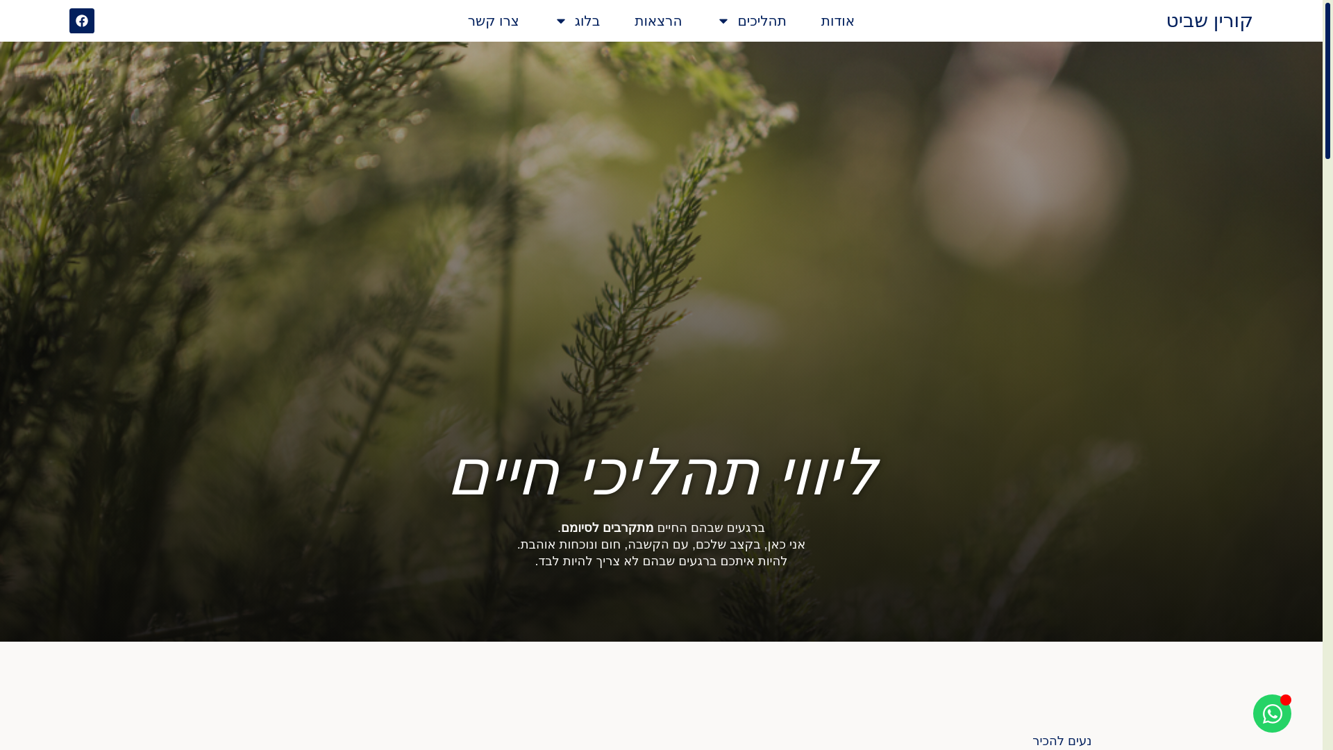 website screenshot of https://corinneshavit.co.il/