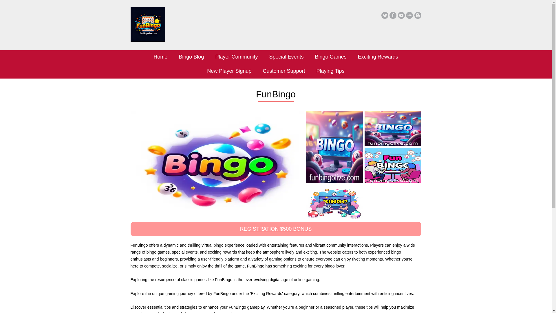 website screenshot of https://funbingolive.com/