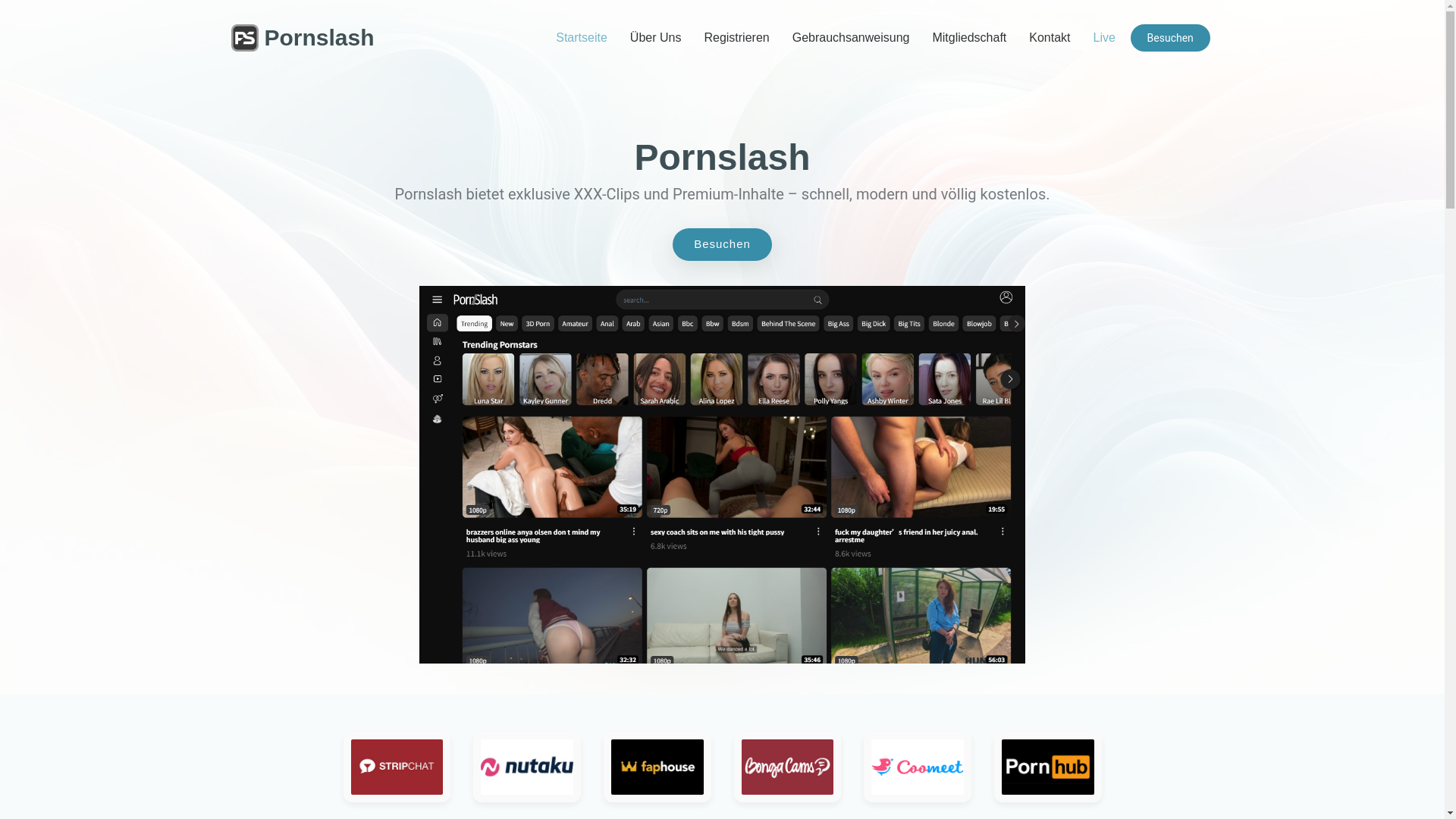 website screenshot of https://pornslash-german.com/