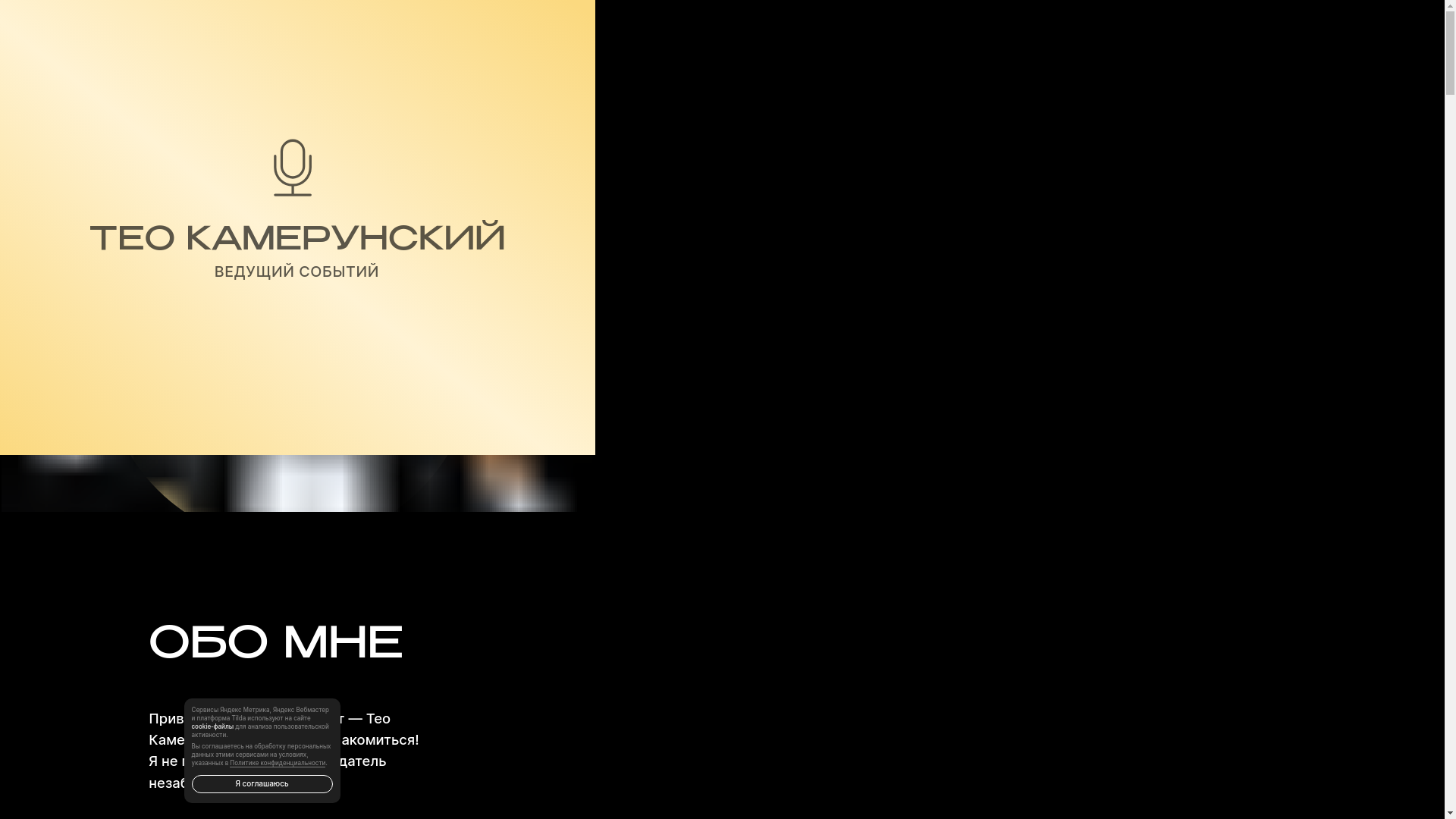 website screenshot of https://teo-kamerunskiy.ru/