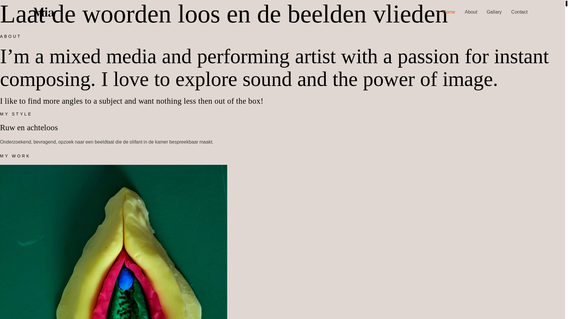 website screenshot of https://carelainbergtop.nl/
