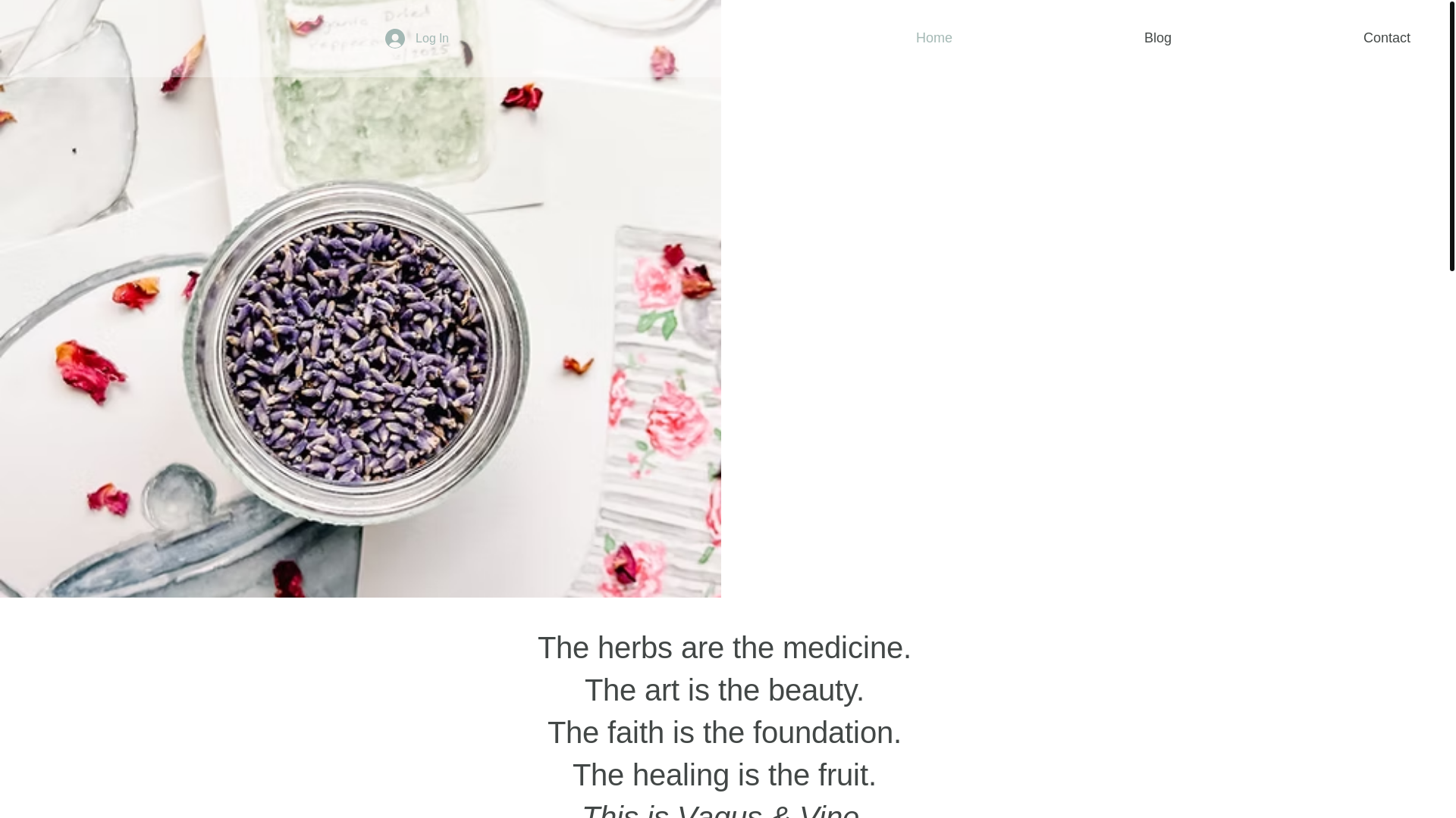 website screenshot of https://vagusandvine.com/