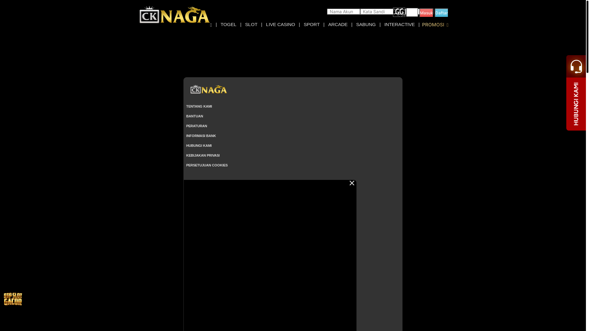 website screenshot of https://cknagag9.store/