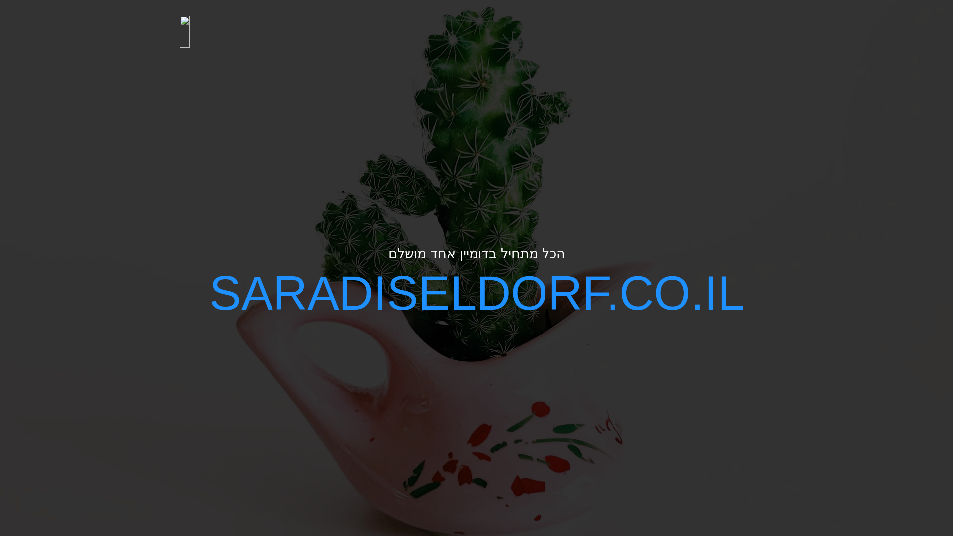 website screenshot of https://saradiseldorf.co.il/