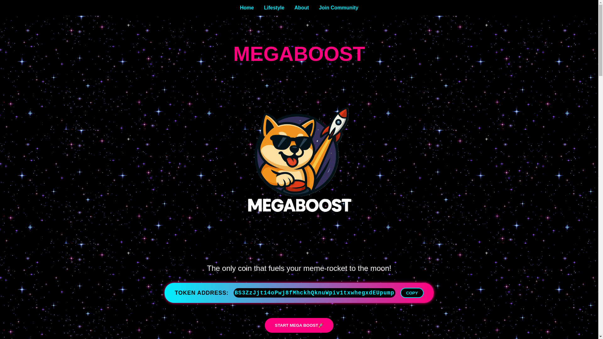 website screenshot of https://megaboost.me/