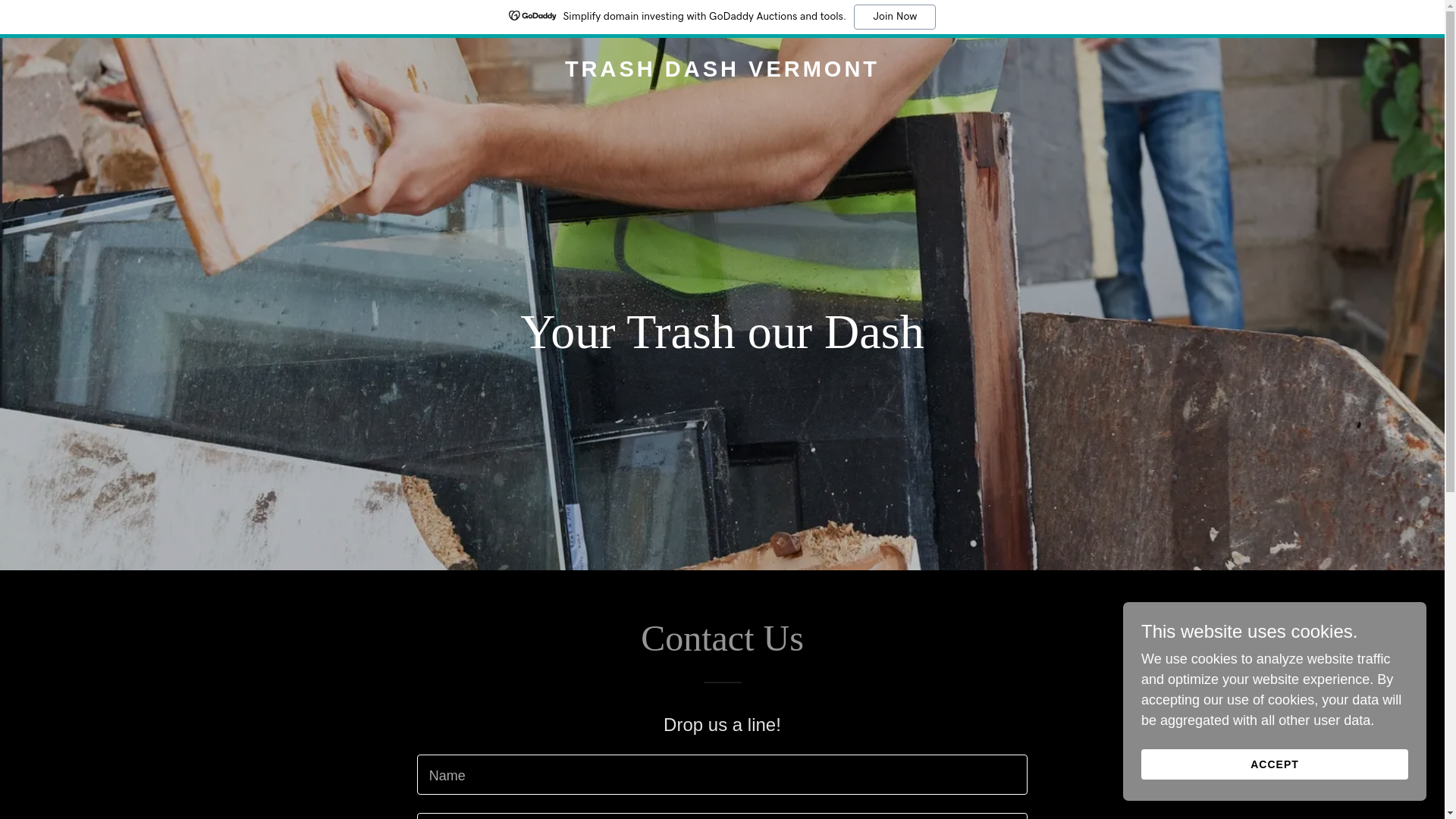 website screenshot of https://trashdashvermont.com/