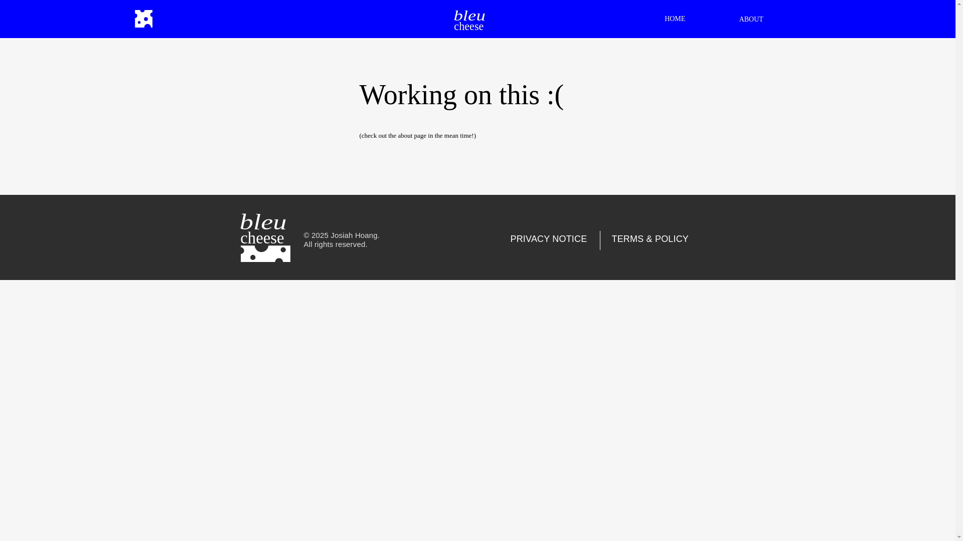 website screenshot of https://bleucheese.io/
