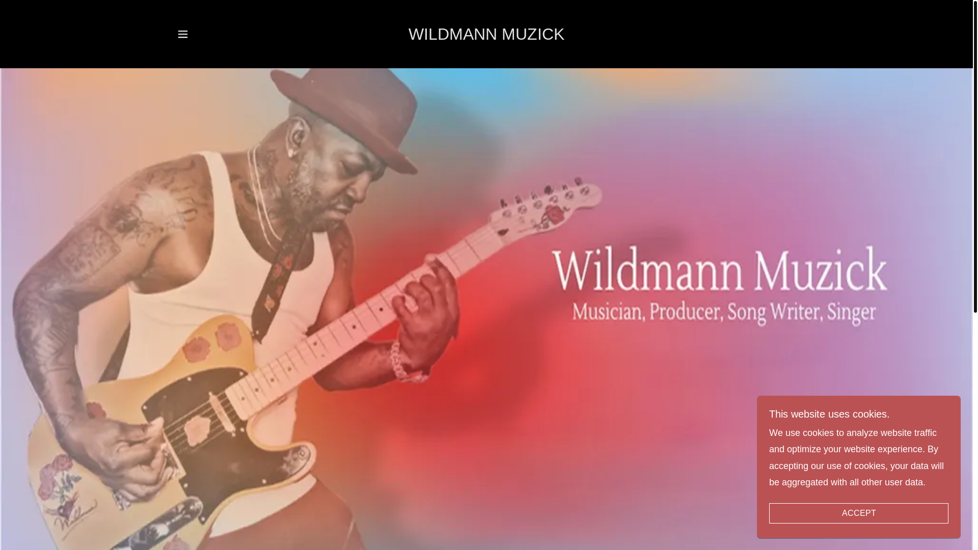 website screenshot of https://wildmannmuzick.com/