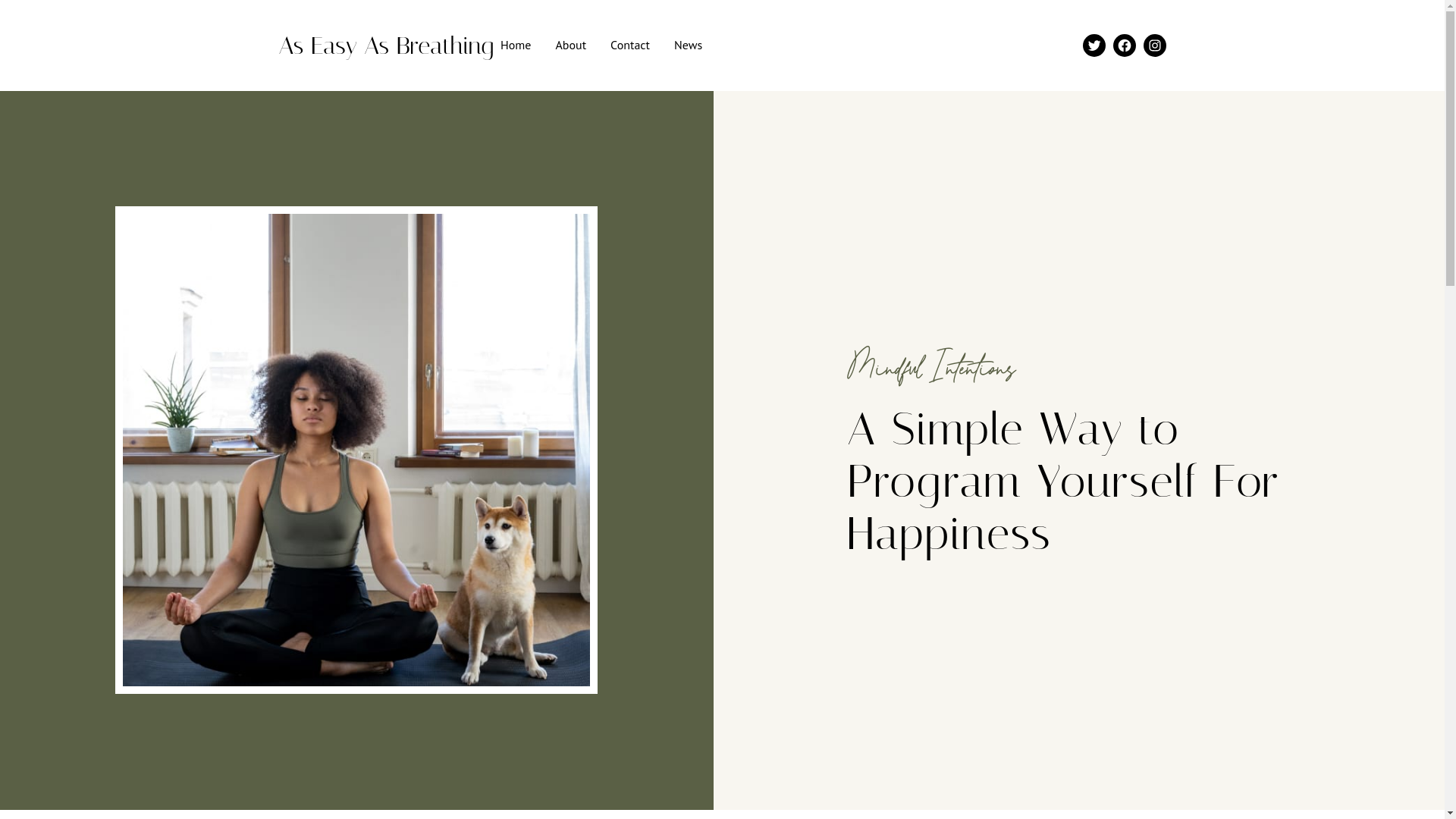 website screenshot of https://easyasbreathing.com/