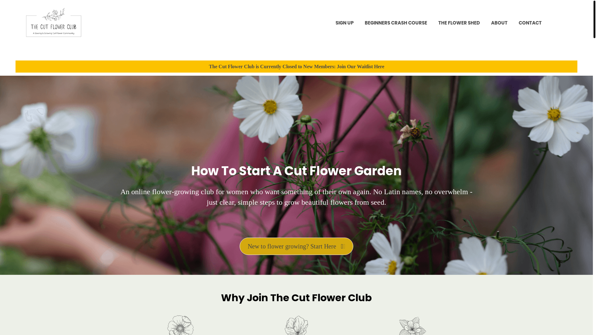 website screenshot of https://thecutflowerclub.co.uk/