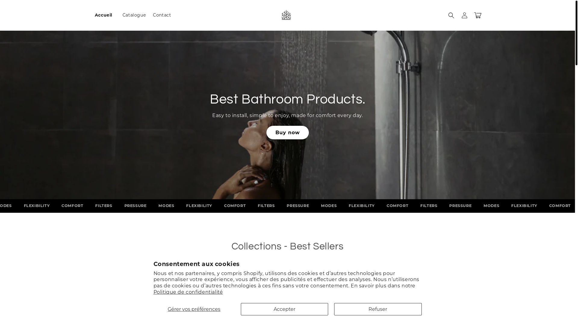 website screenshot of https://bathroomhousedesign.com/