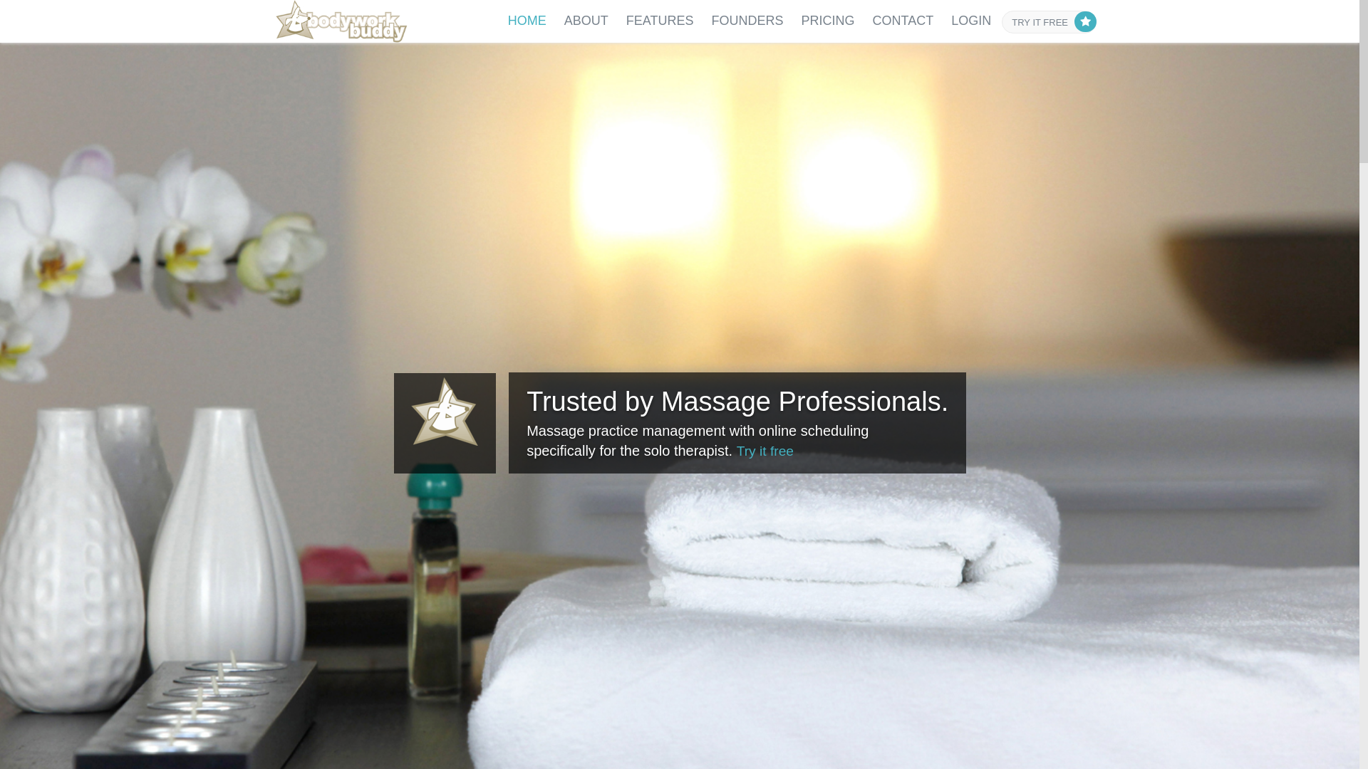 website screenshot of https://bodyworkbuddy.world/