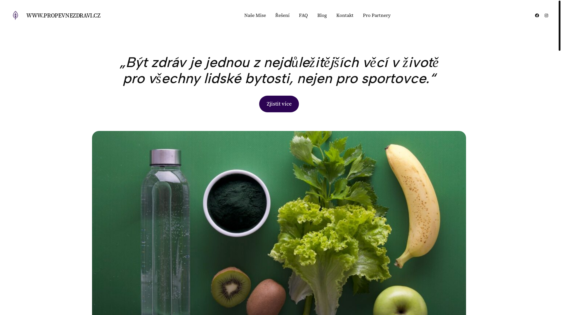 website screenshot of https://propevnezdravi.cz/